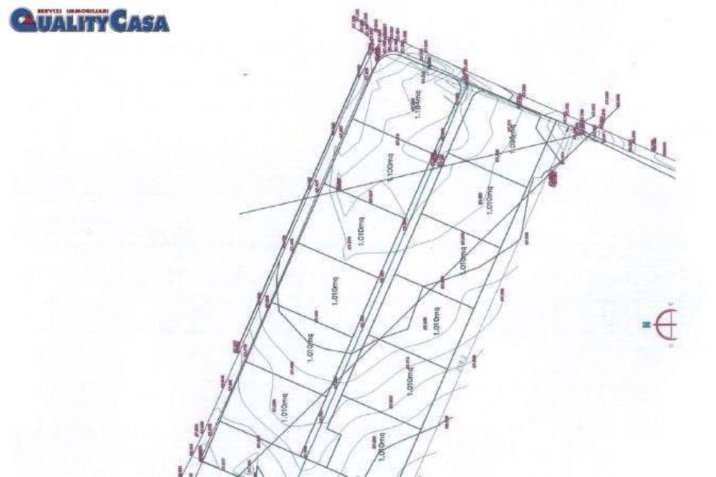 immagine annuncio 3 di 4