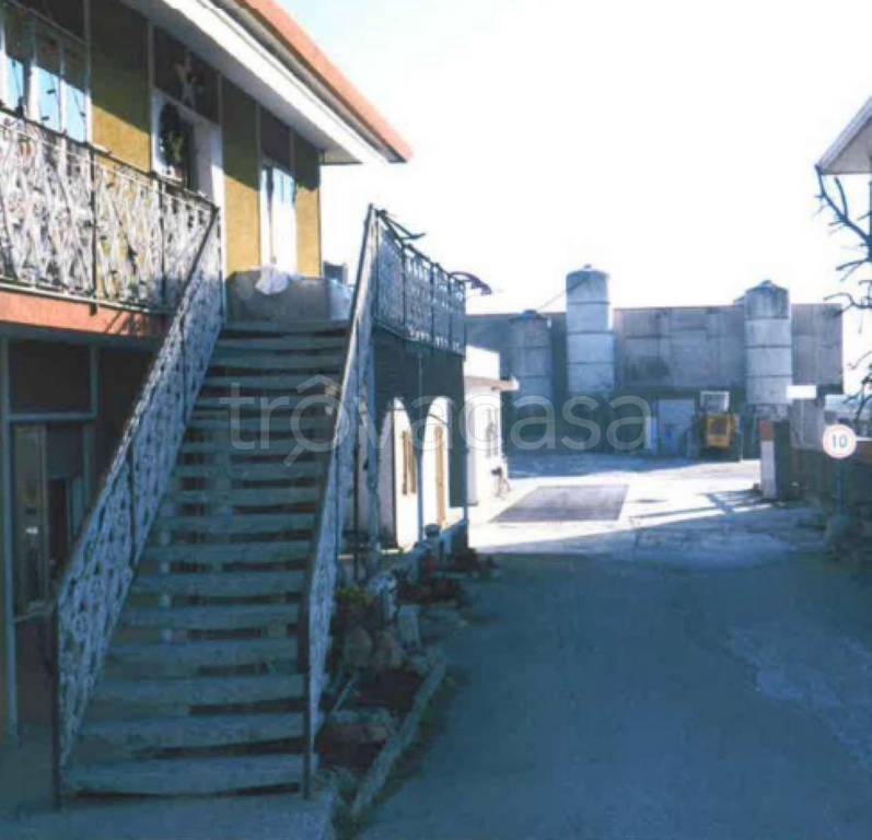 immagine annuncio 7 di 14