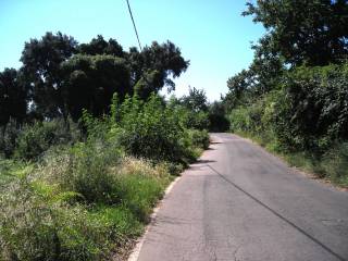 Terreno residenziale in vendita a sezze via foresta