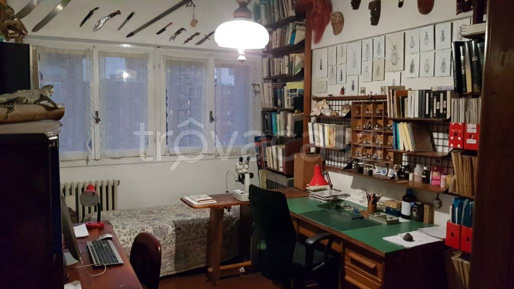 immagine annuncio 9 di 12