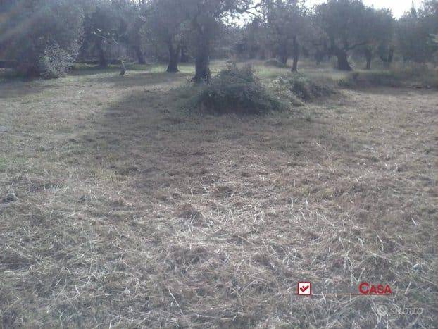 Terreno Agricolo in vendita a Messina spartà