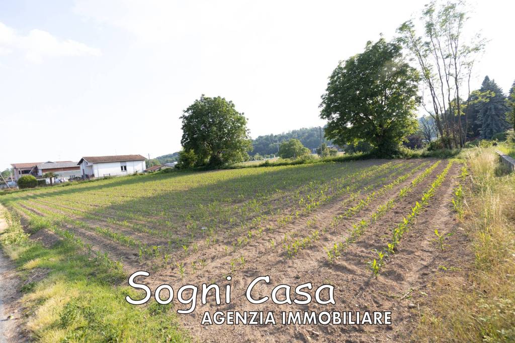 immagine annuncio 2 di 6