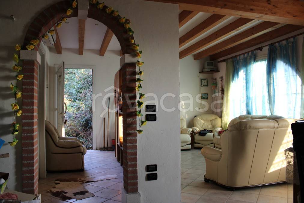 immagine annuncio 11 di 14