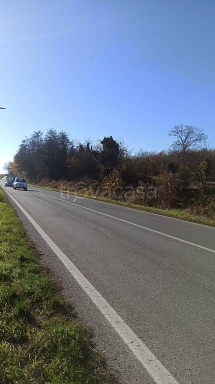 immagine annuncio 5 di 6