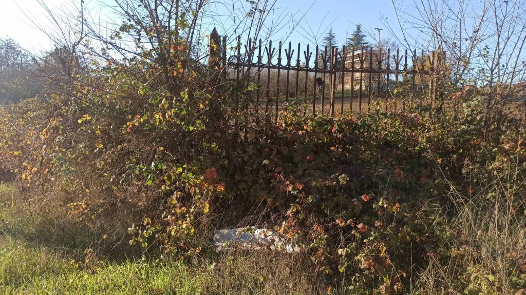 immagine annuncio 1 di 6