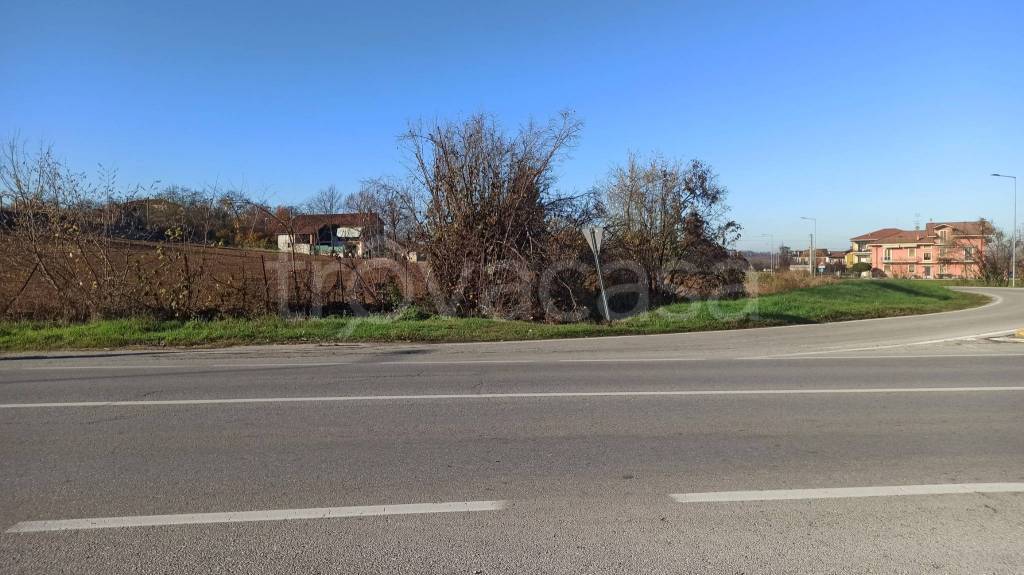 immagine annuncio 4 di 6