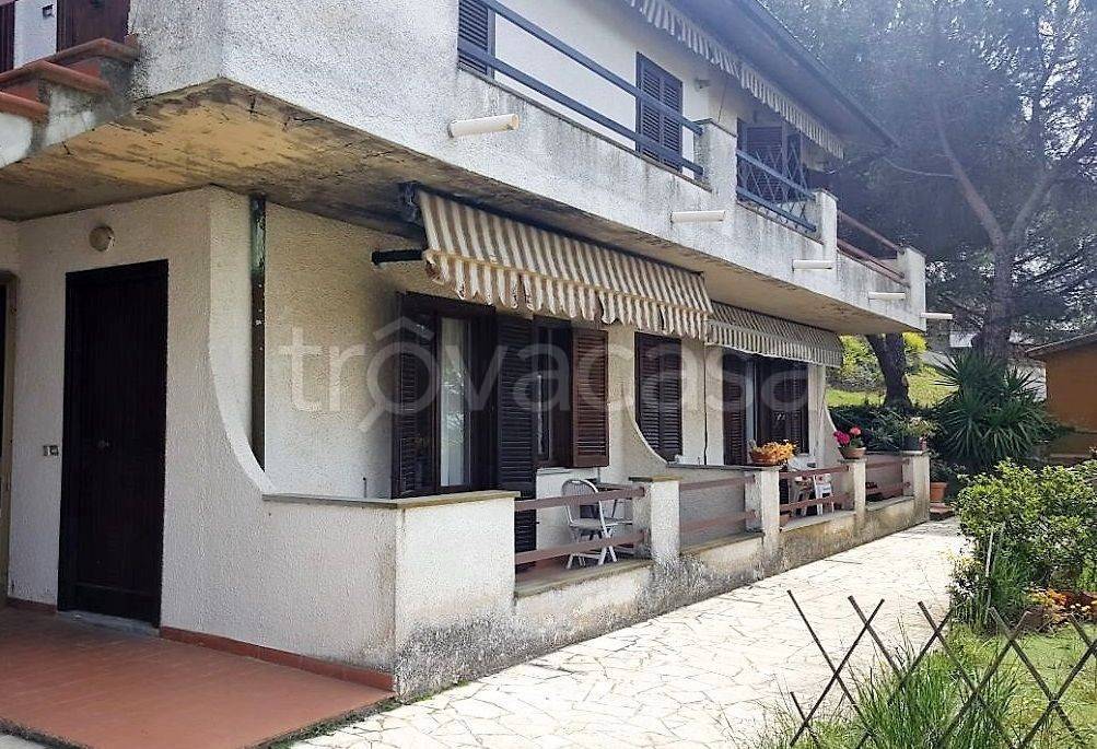 Appartamento in in vendita da privato a Magliano in Toscana via Provinciale, 1