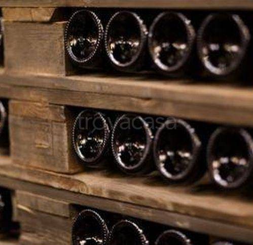 immagine annuncio 1 di 6