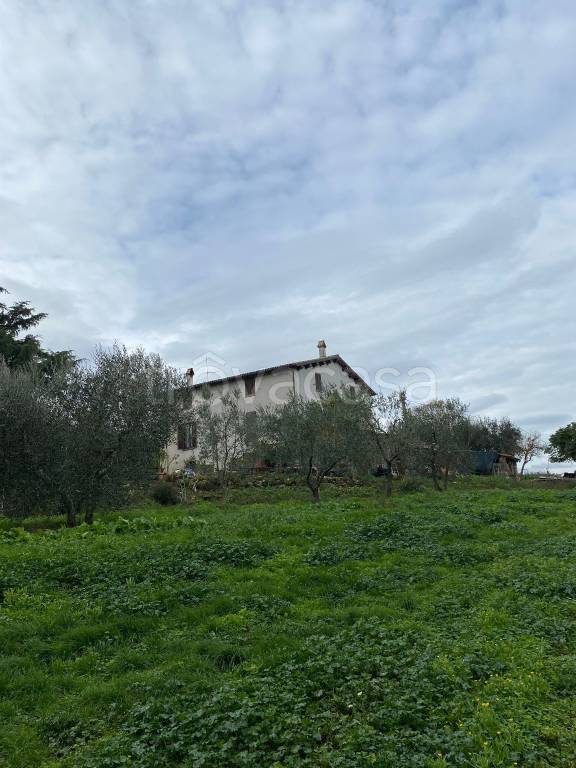 Casale in in vendita da privato a Civitella d'Agliano strada Provinciale Teverina