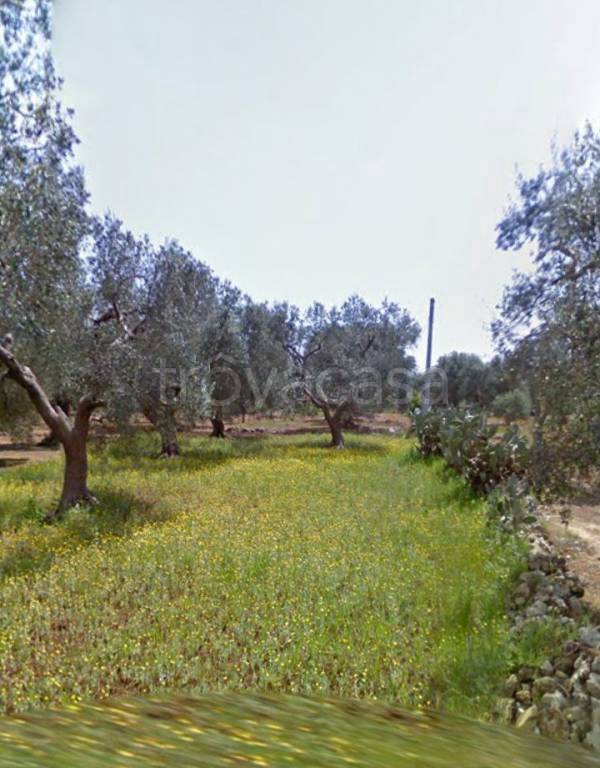 Terreno Agricolo in vendita a Ugento sp66, s.n