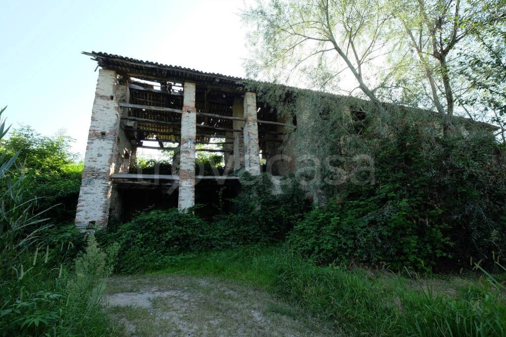 immagine annuncio 6 di 12