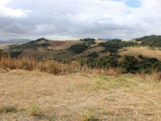 Terreno agricolo all'asta a cerami contrada sugherita