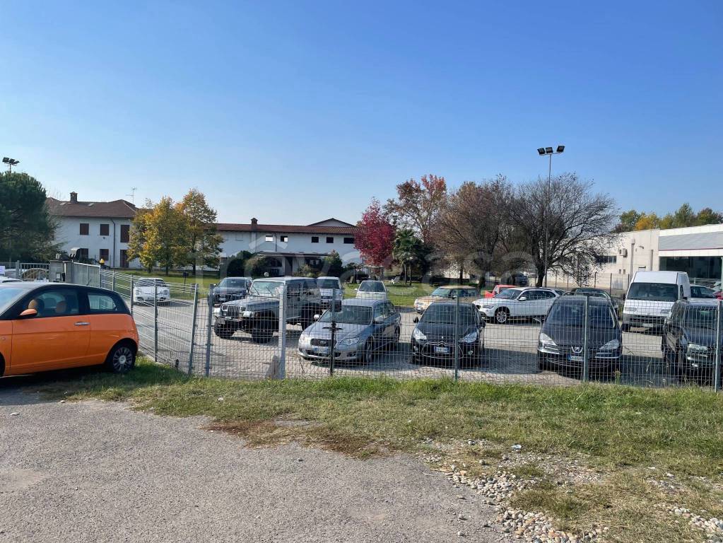immagine annuncio 9 di 14