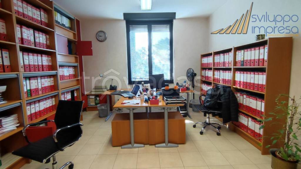 immagine annuncio 7 di 12