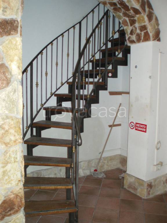 immagine annuncio 11 di 14