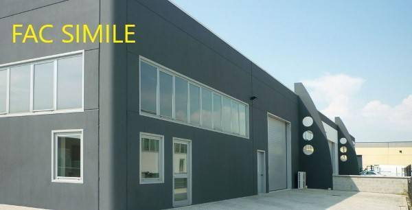 immagine annuncio 5 di 8