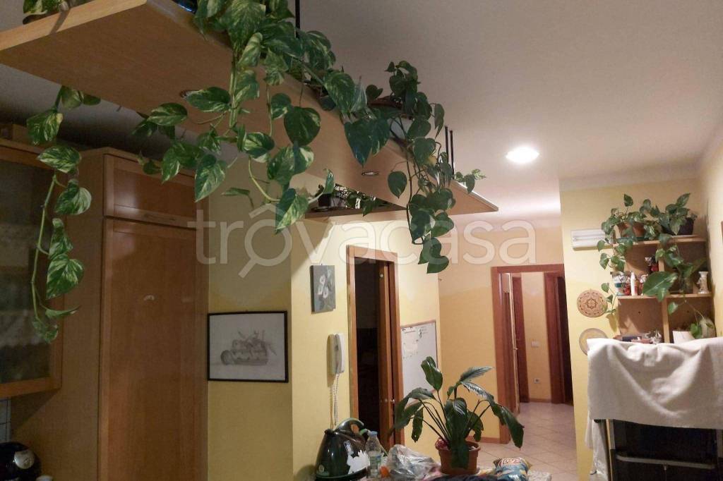 Appartamento in in vendita da privato a Ville d'Anaunia via Stradone Vecchio, 46