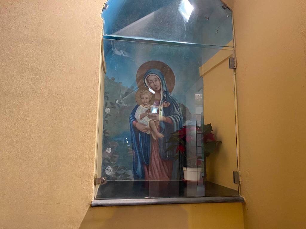 immagine annuncio 9 di 14