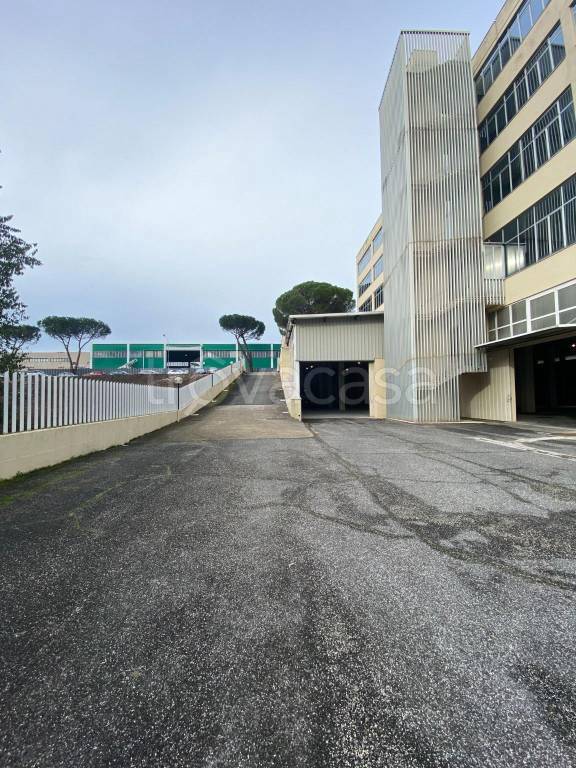 immagine annuncio 3 di 14