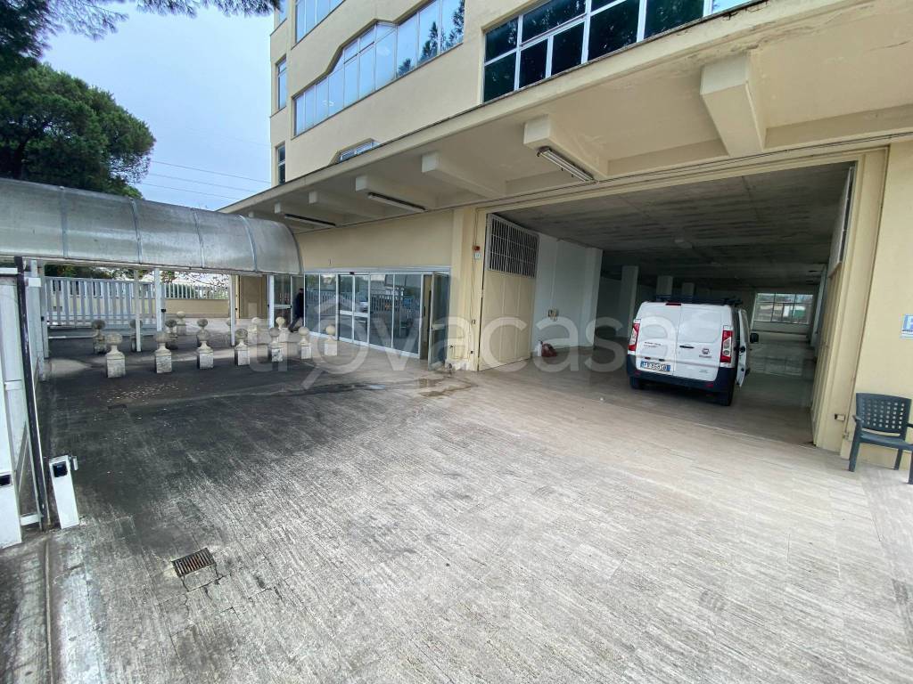 immagine annuncio 7 di 14