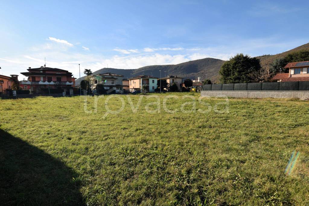 immagine annuncio 4 di 7