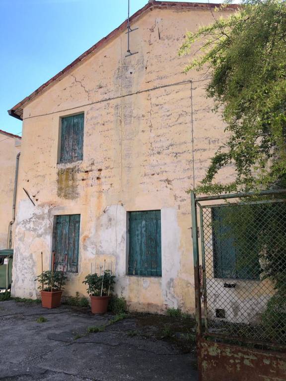 immagine annuncio 2 di 4