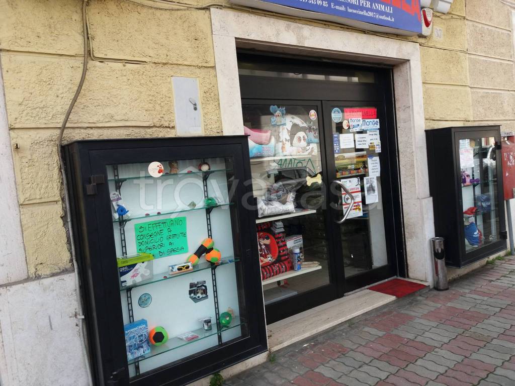immagine annuncio 4 di 9