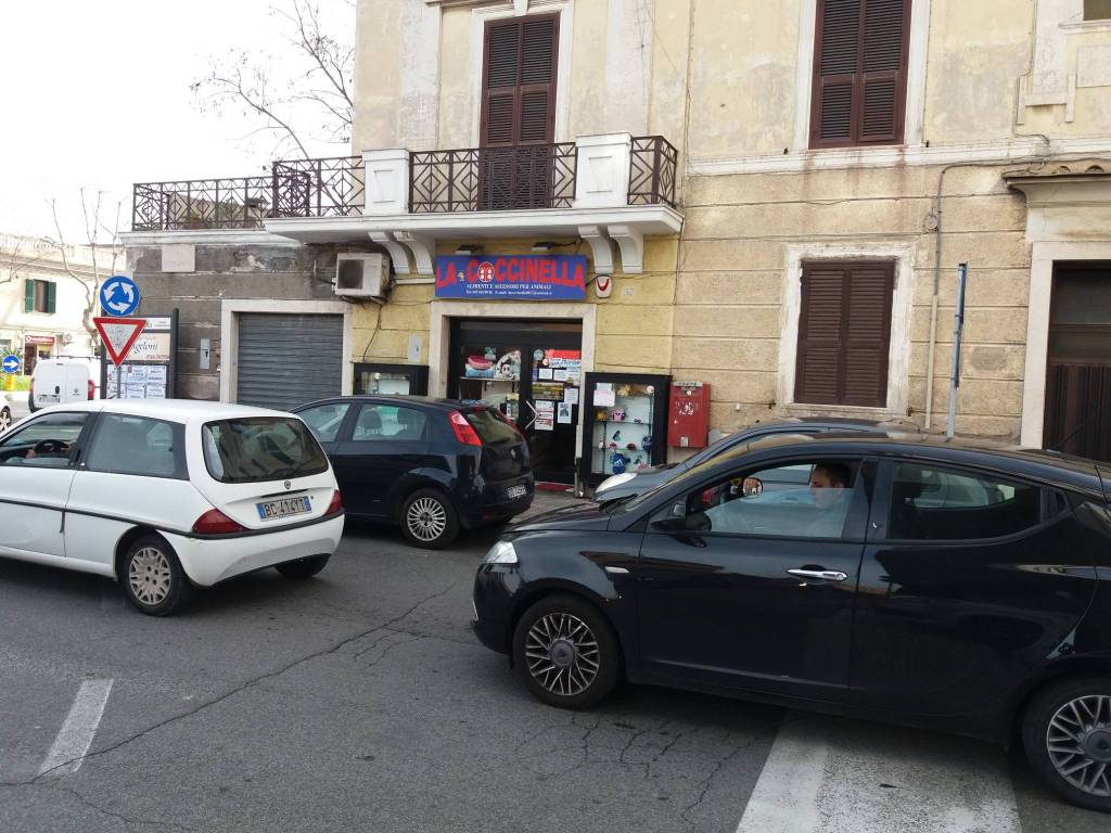 immagine annuncio 5 di 9