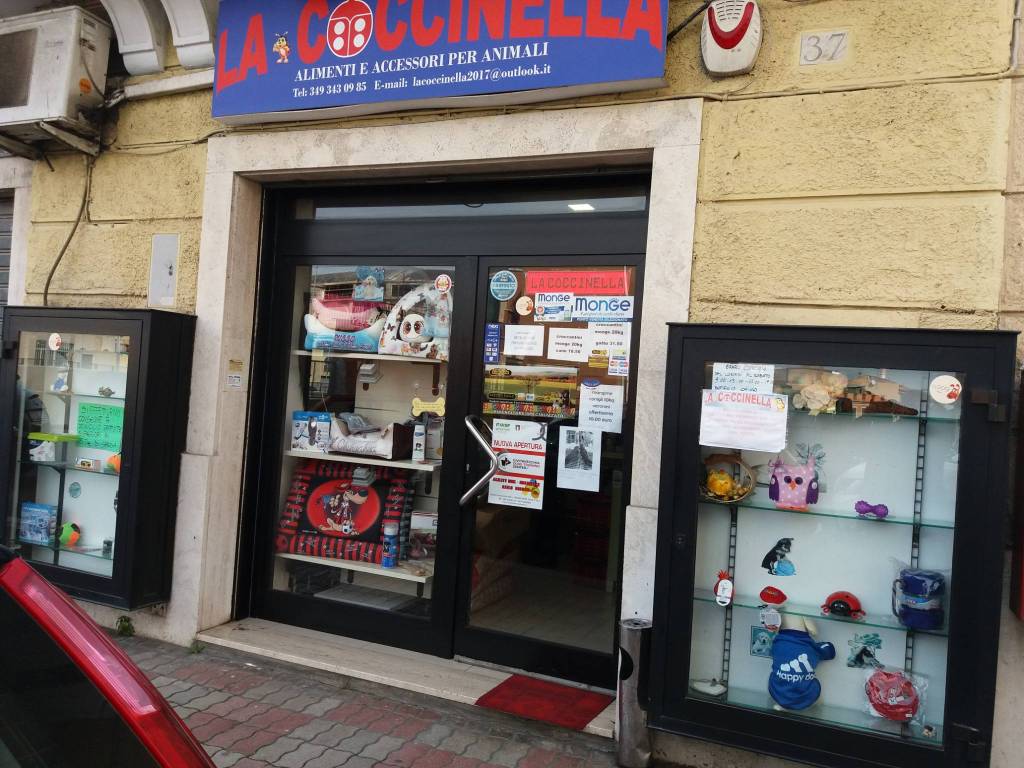 immagine annuncio 6 di 9