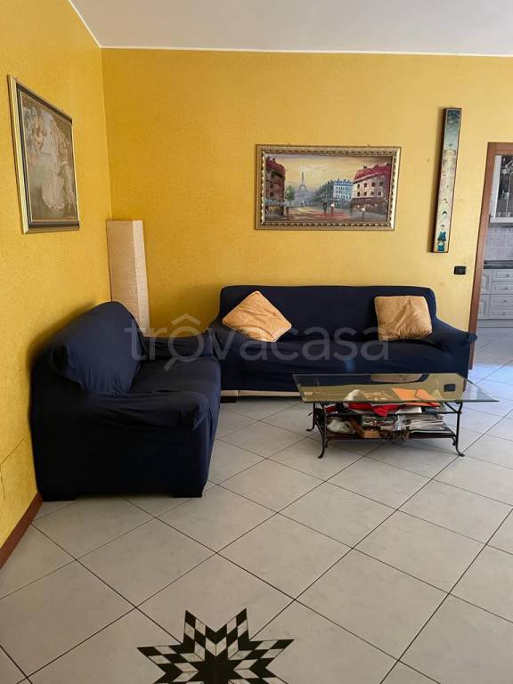 immagine annuncio 3 di 13