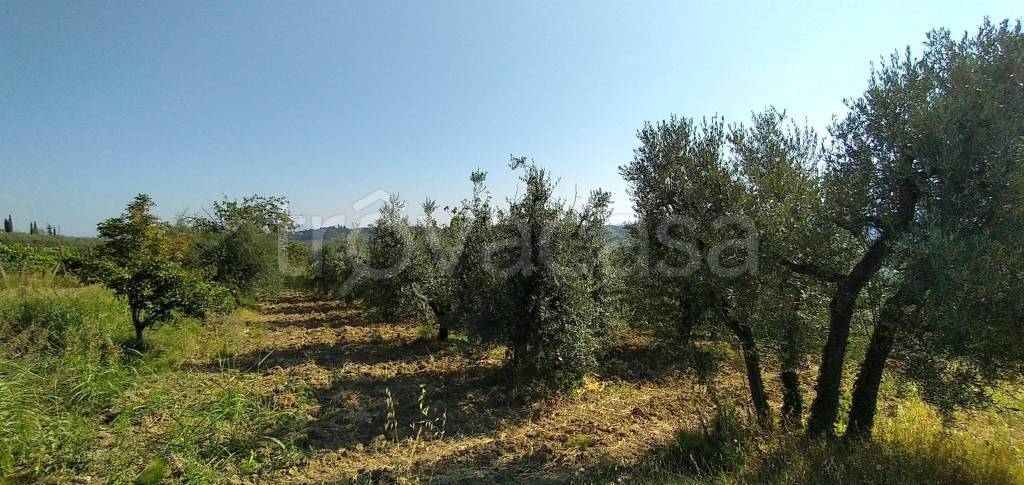 immagine annuncio 10 di 14