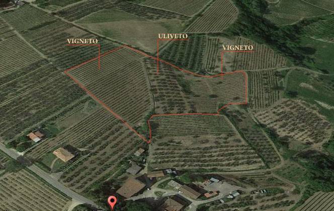 immagine annuncio 11 di 14