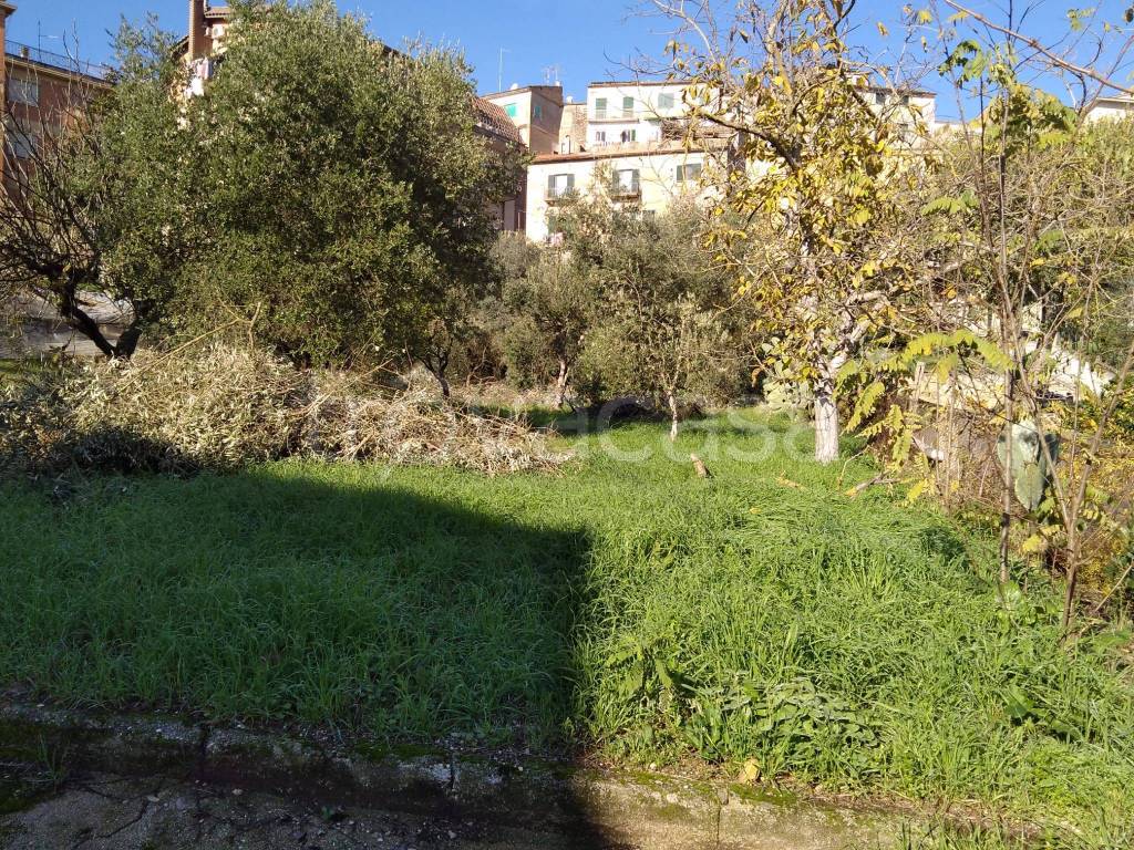 immagine annuncio 3 di 9