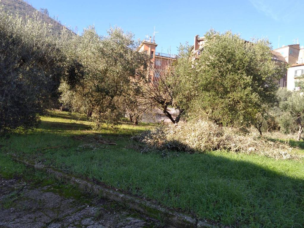 immagine annuncio 4 di 9