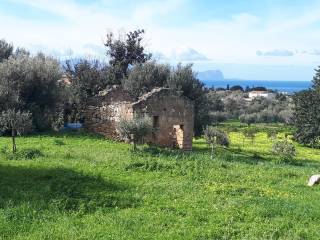 Terreno agricolo in vendita a cinisi contrada cipollazzo