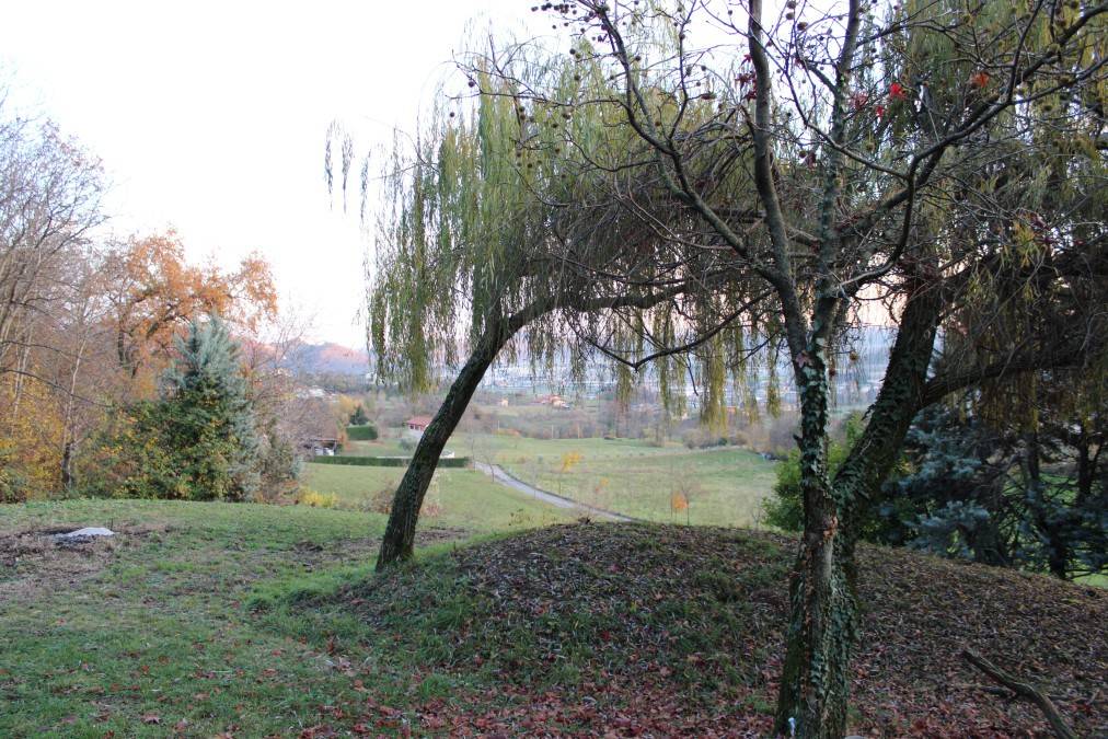 immagine annuncio 1 di 14