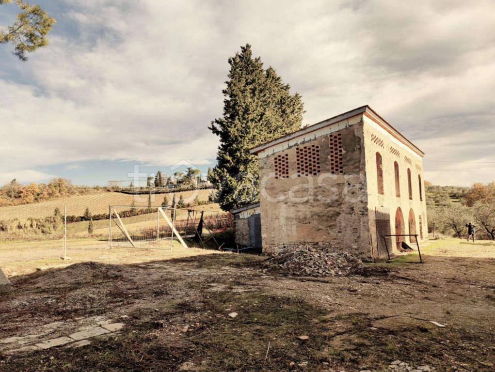 immagine annuncio 2 di 6