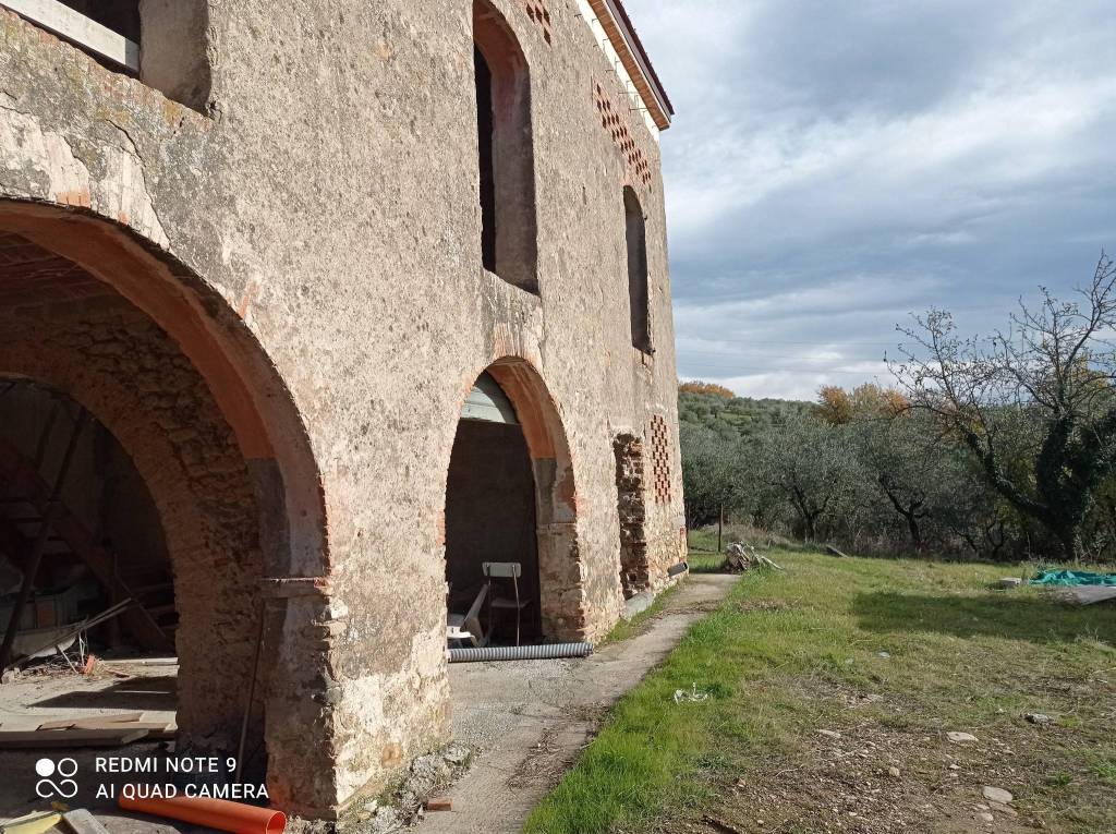 immagine annuncio 3 di 6