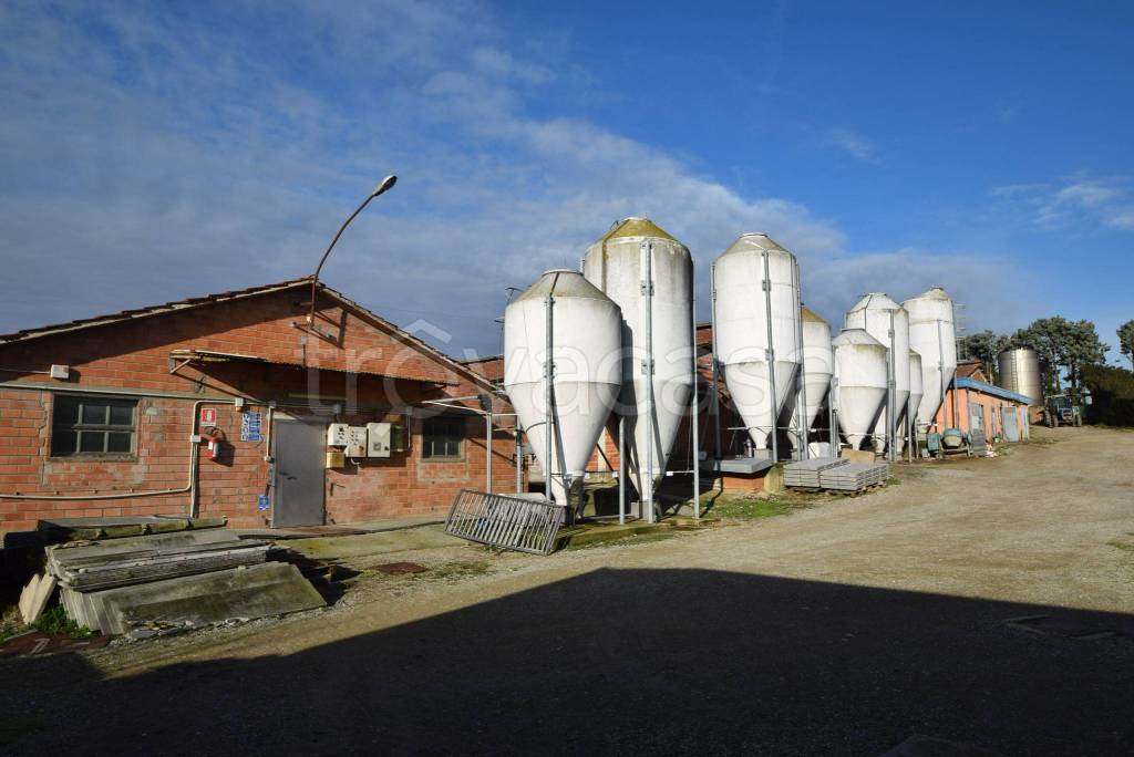 Azienda Agricola in vendita a Marsciano località Villanova