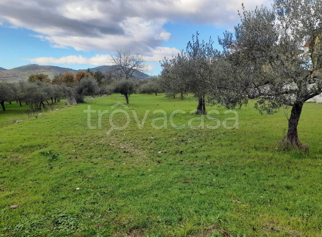 Terreno Residenziale in vendita a Bucciano contrada Gavetelle, 28