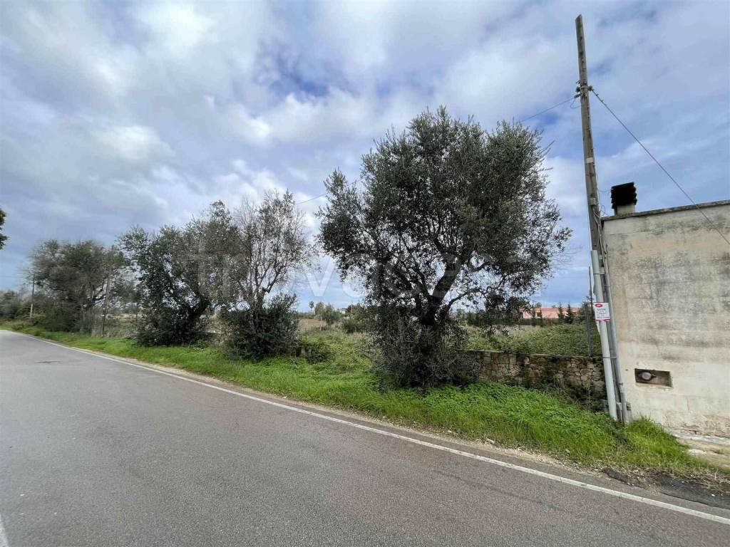 Terreno Agricolo in vendita a Lecce via g. Delle vedova