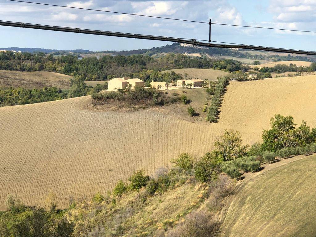 Terreno Agricolo in vendita a Montalto delle Marche contrada Canale, 4