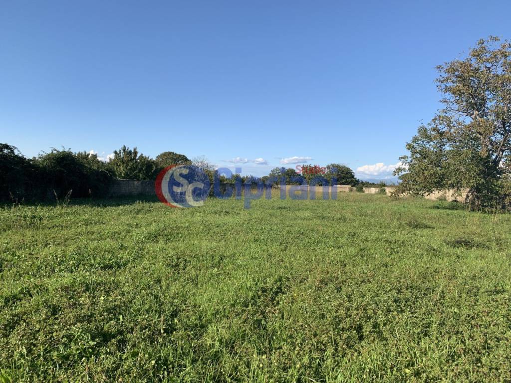 immagine annuncio 3 di 7