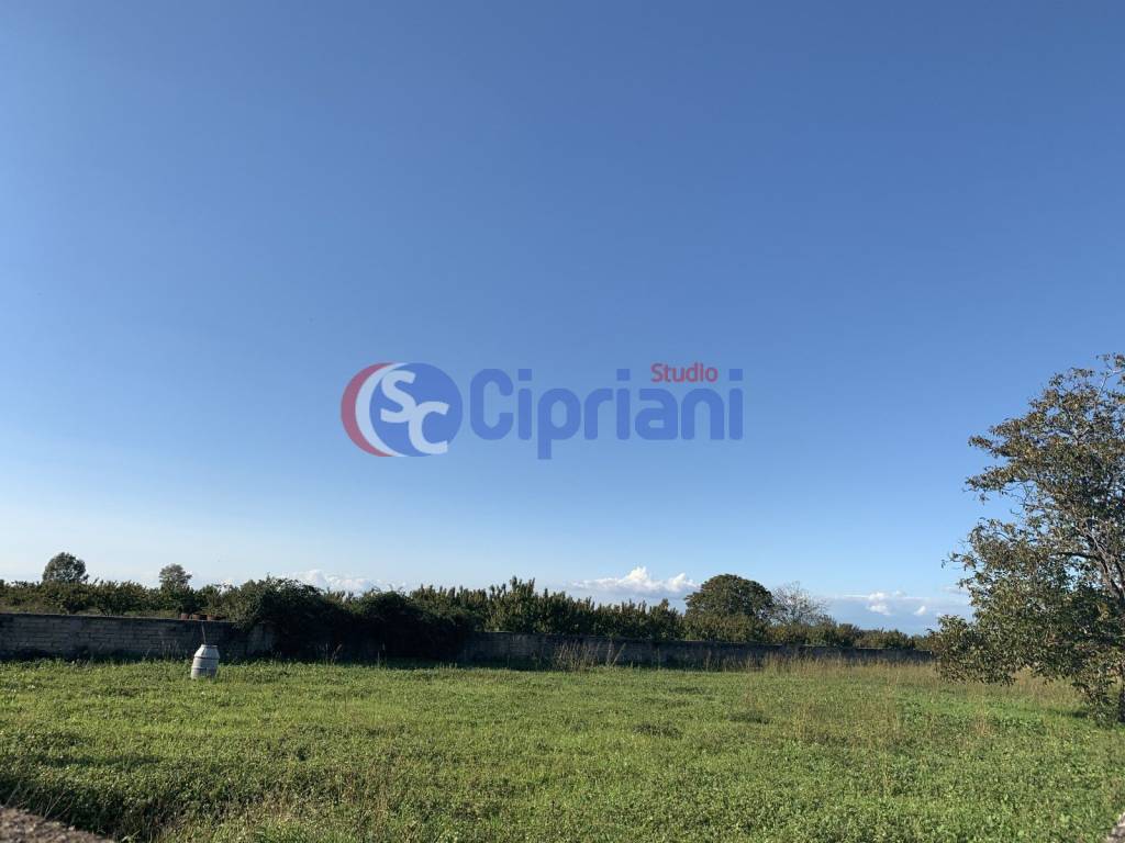 immagine annuncio 4 di 7