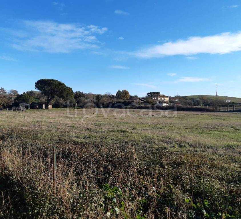 immagine annuncio 5 di 12