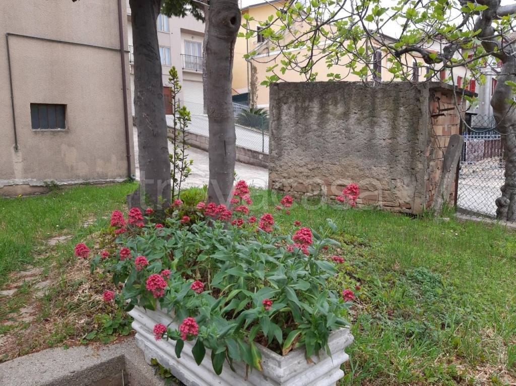 immagine annuncio 11 di 13