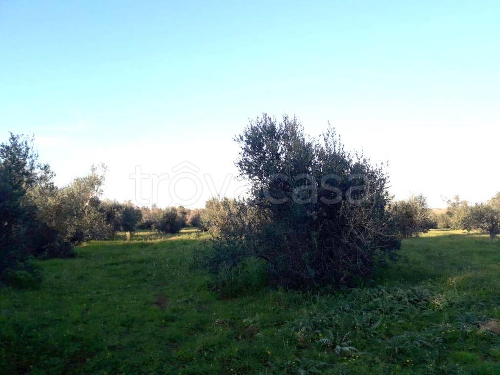 immagine annuncio 3 di 8
