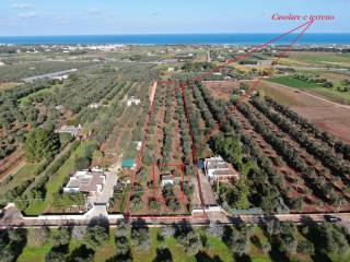 Rustico in vendita a carovigno morgicchio