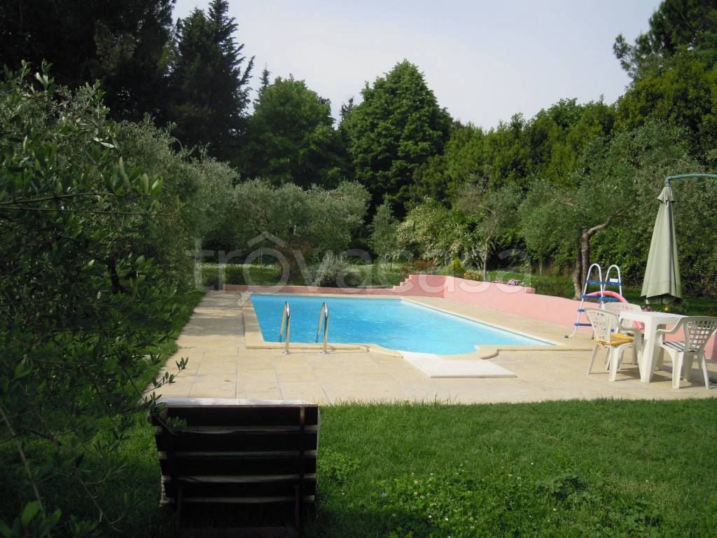 immagine annuncio 9 di 15
