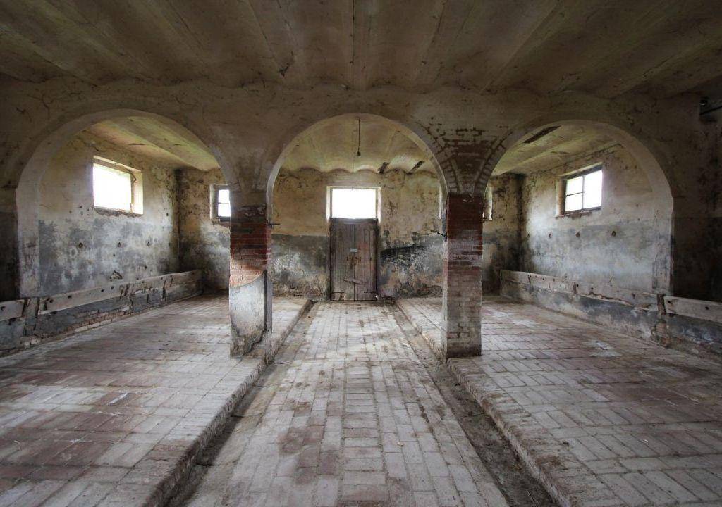 immagine annuncio 4 di 13